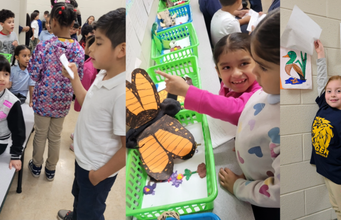  Students interacting and presenting projects. 